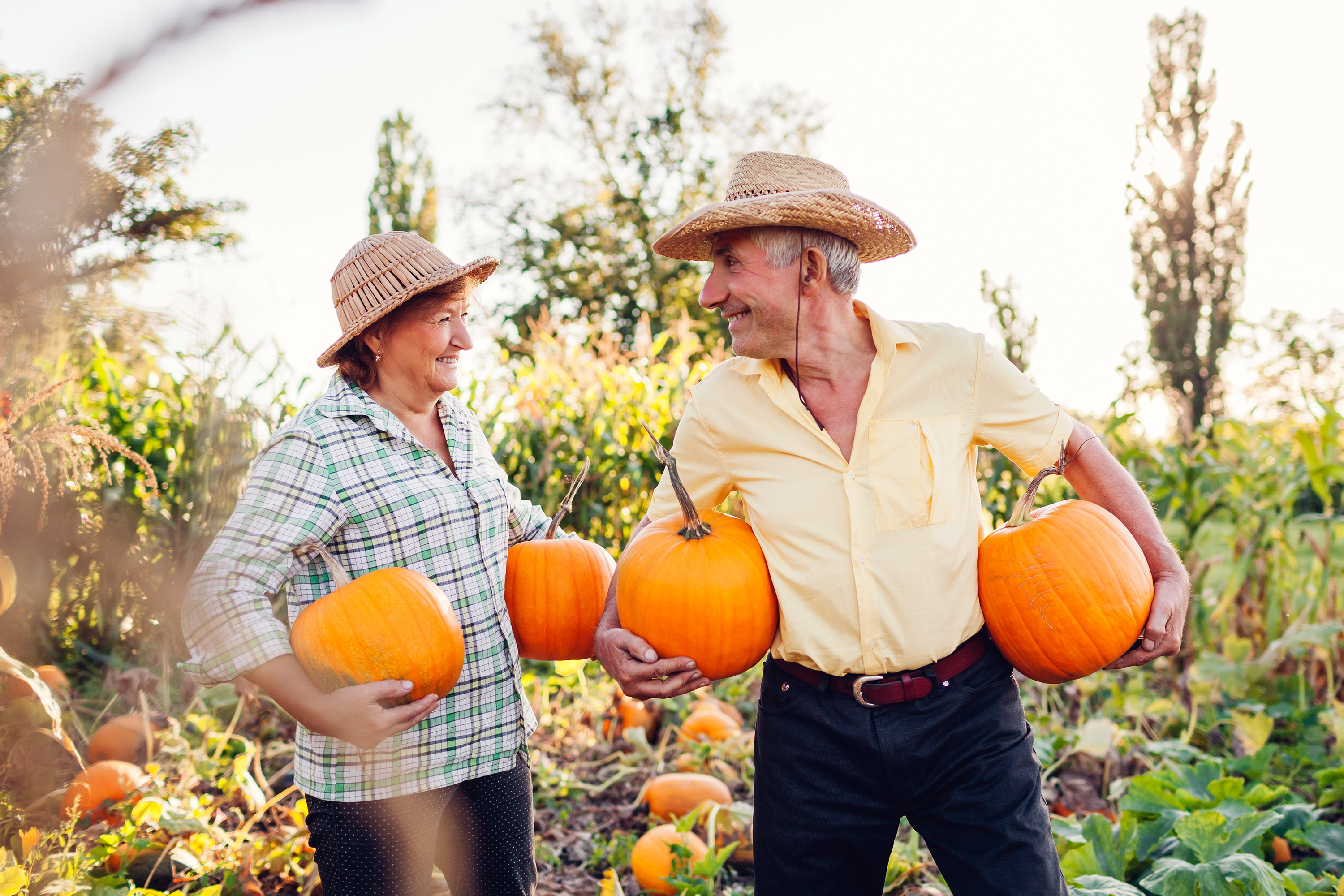 pumpkin-patch-antics.jpg