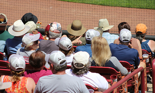 Network Health hats at the Timber Rattlers